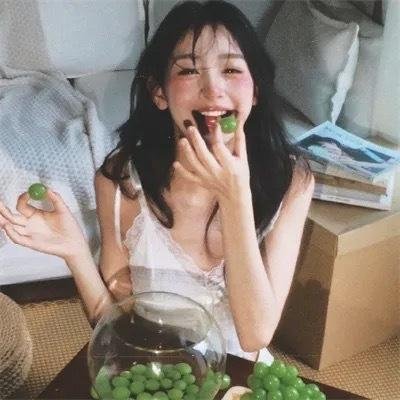 暴风雪中的白鸟